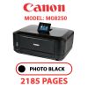 CANON MG8250 PRINTER - PHOTO BLACK INK