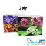 Soft Facial Tissues Royal 2Ply (180 sheets – 36 Boxes/Carton)