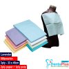 Medicom Dry Back Bibs (3 Ply - 33 x 45cm) 2ply paper + 1ply poly #500Pcs/Ctn - lavender