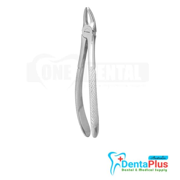 UPPER PRE MOLAR CM2 N-123