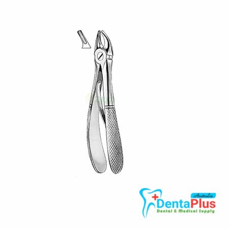 Upper Premolars Children - Each
